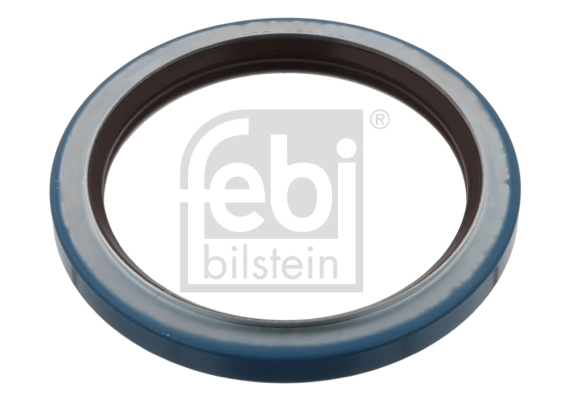 Shaft Seal, wheel hub